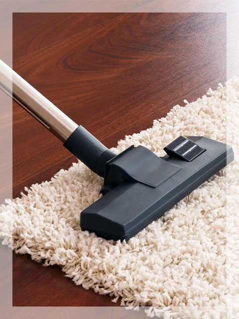 Carpet Cleaning Service Chicago